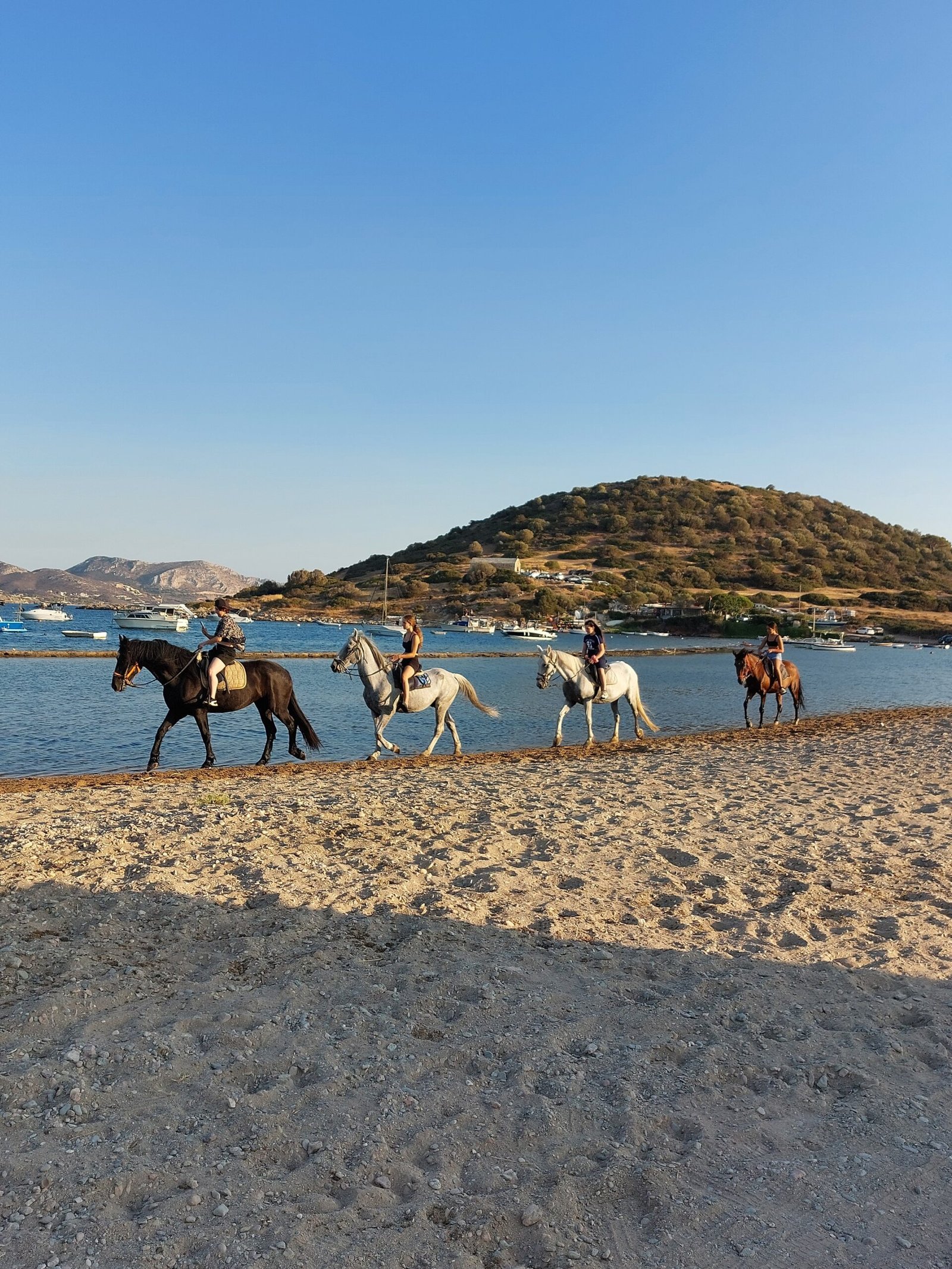 beach horse riding